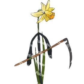Daffodil Grim Reaper