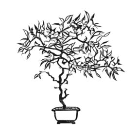 Silhouette Bonsai Tree Vector