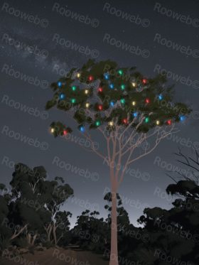 Christmas Gum Tree